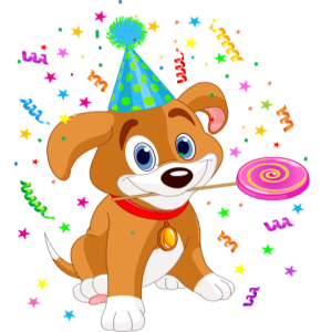 a cute birthday doggy